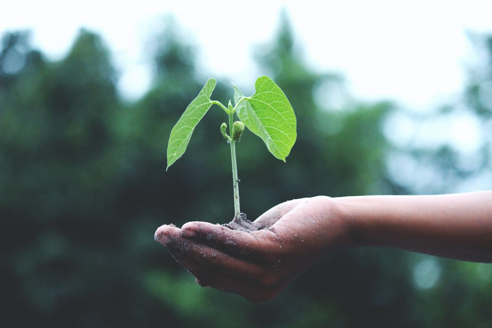 Air Conditioning: Eco-Friendly Approach to Save Energy & Reduce Gas